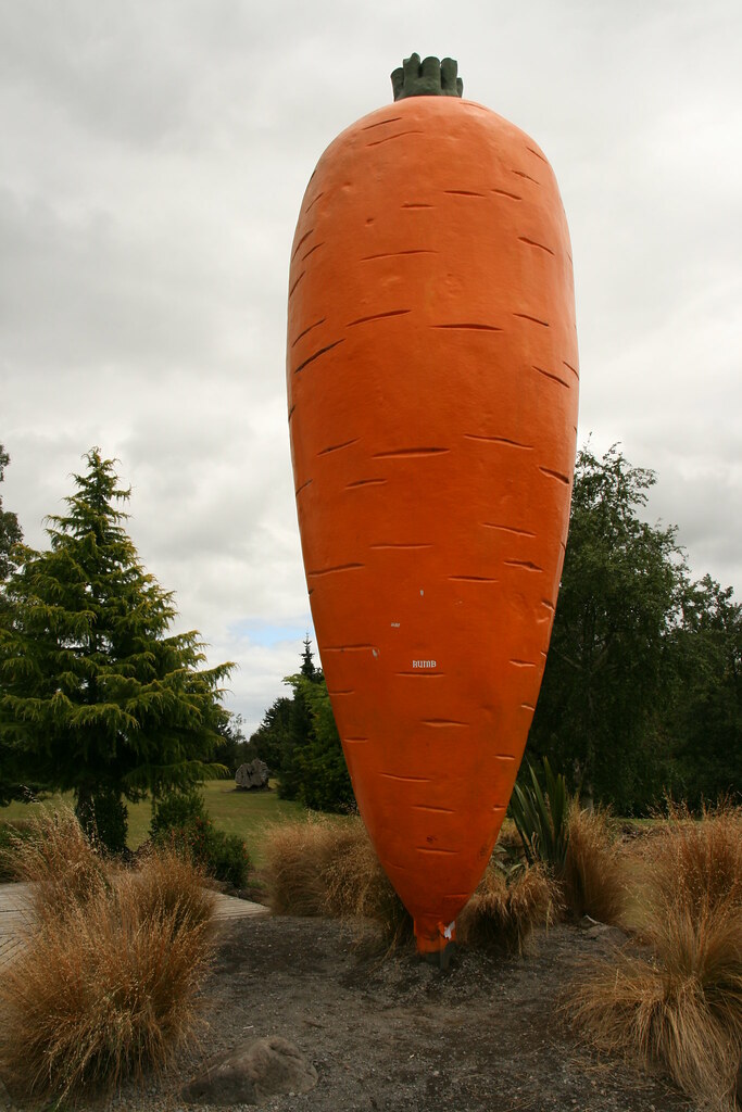 Giant carrot statue in Ohakune, New Zealand, humorous comparison for how big carrots can get